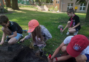 Prace ogródkowe klasy II