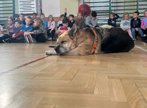 „Zwierzaki to nie zabawki – o odpowiedzialnej opiece i życiu zwierząt w schronisku”