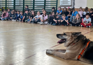 Podopieczny schroniska Rino i uczniowie naszej szkoły na prelekcji