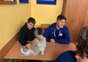 Na zdjęciu uczniowie klasy VIII głaszczą kota Lalusia.