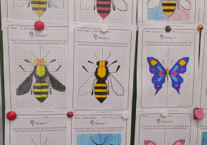 Gotowe rysunki z odwzorowanym odbiciem lustrzanym owadów - pszczoły i osy.